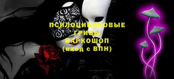 твердый Алексеевка