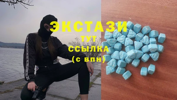 гидра Алексин
