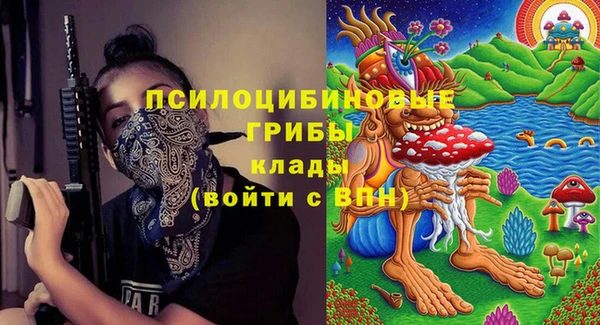 скорость Алзамай