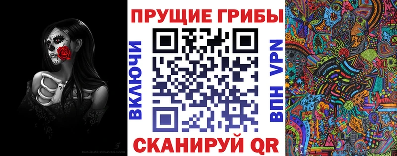 MEGA маркетплейс  Дзержинский  Псилоцибиновые грибы GOLDEN TEACHER 