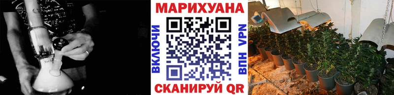 Шишки марихуана AK-47  что такое   Дзержинский 